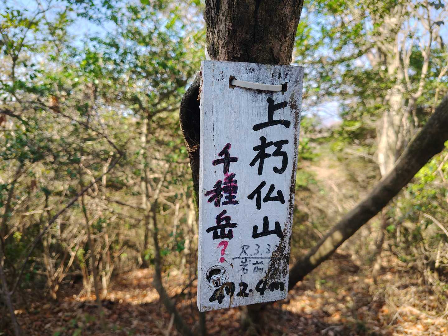 上朽仏山山頂492M到着⛰️

見晴らしはなかったです