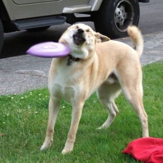 凪茶房＠リハビリ中