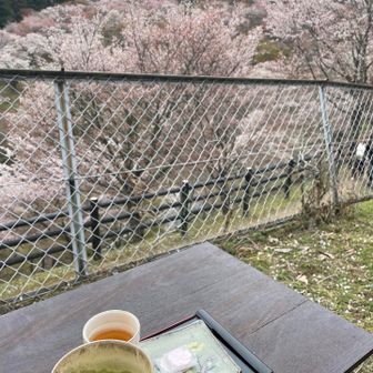 芳山一佛堂で抹茶頂く