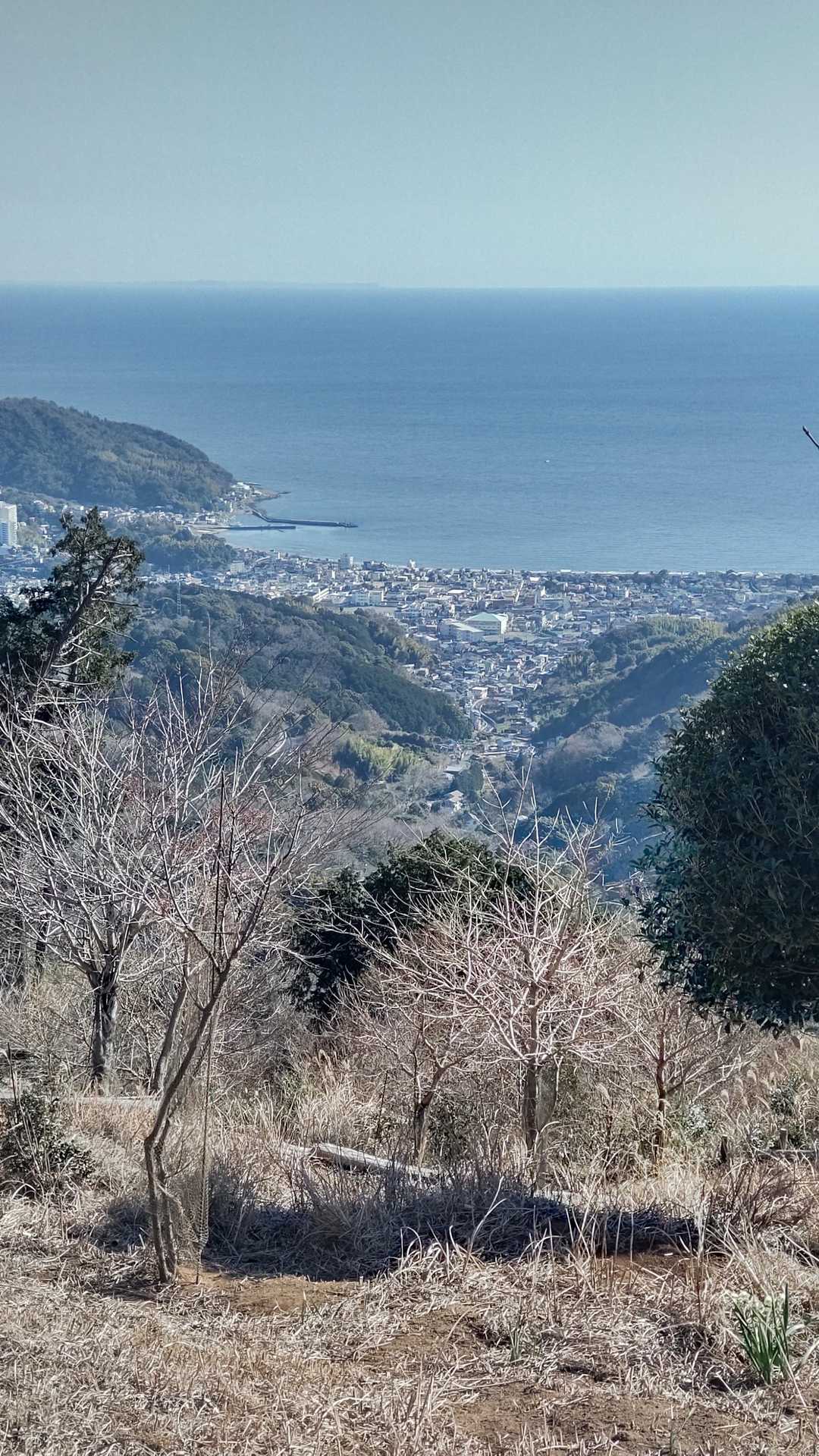宇佐美の街並み、宇佐美港、相模湾、三浦半島まで良く見えます。