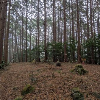 高塚山で雨かと思いきや雪が降ってきました。
ラジオの天気予報で「にわか雨もしくは、にわか雪」って言ってたけどコレかぁ～
