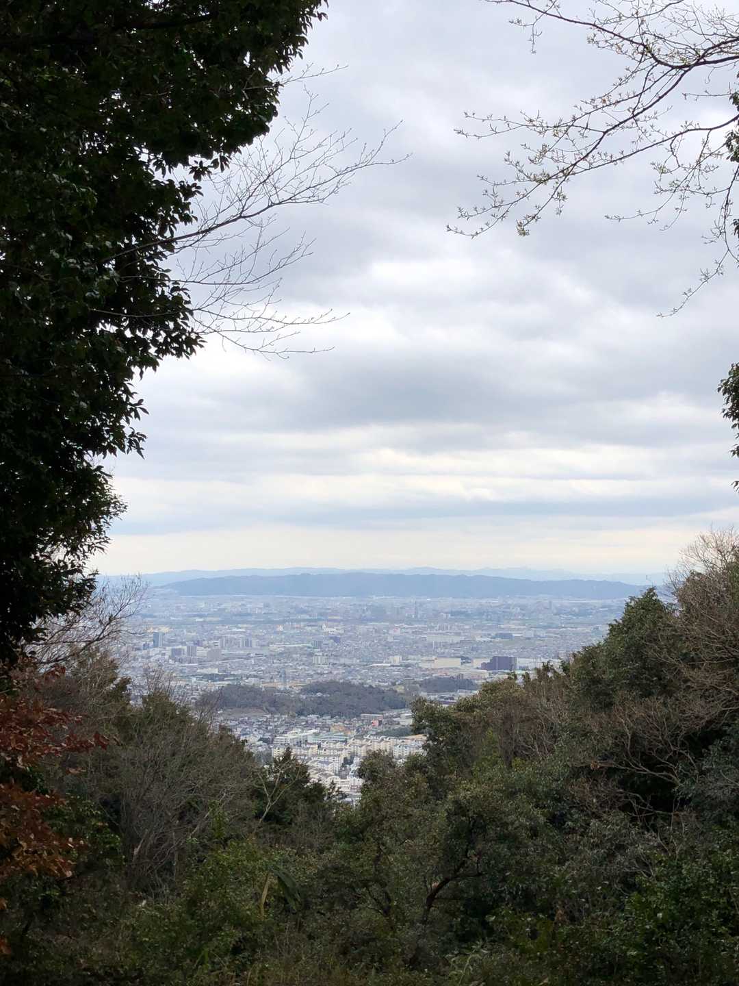 あいもかわらず、この席は癒されるなぁ〜😄。
