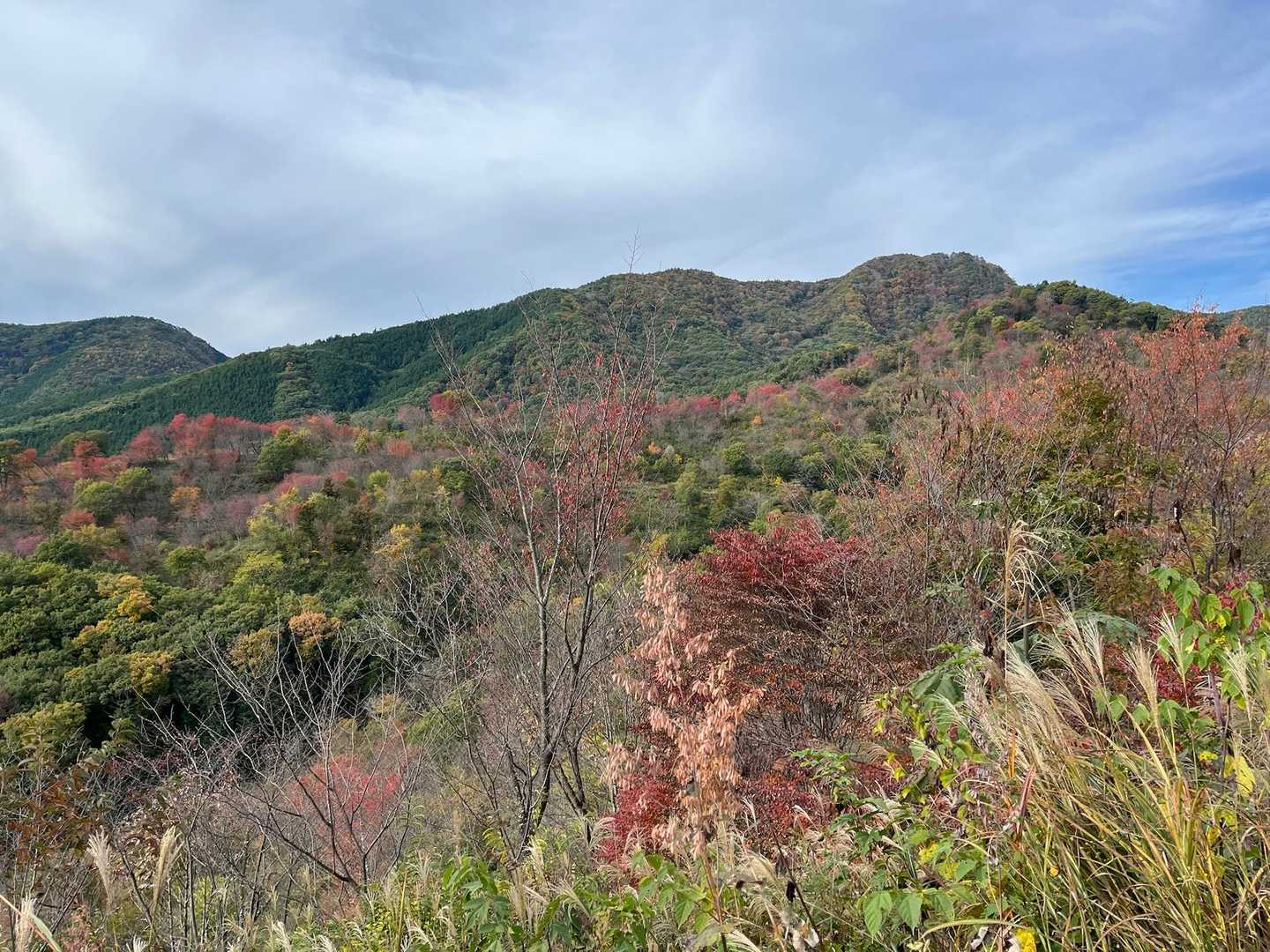 振り返って、後ろが棚山。

ほったらかし温泉には何度も来ていたのに、すぐそばに登山コースがあるのを初めて知りました。
キャンペーンのおかげです。ありがとー🙏
