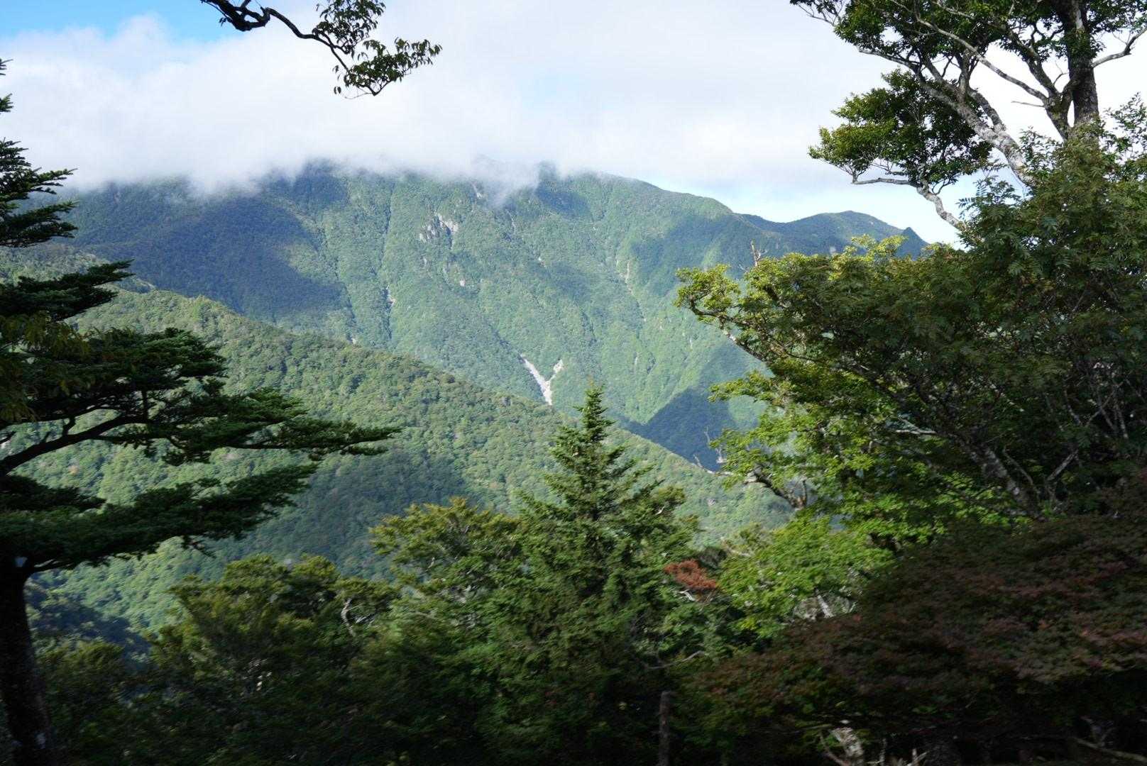 絶景ですねえ