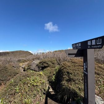 鞍部からの登りは意外にも緩登。