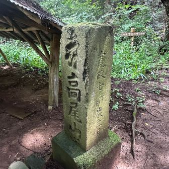 寛政7年って253年前⁉️
