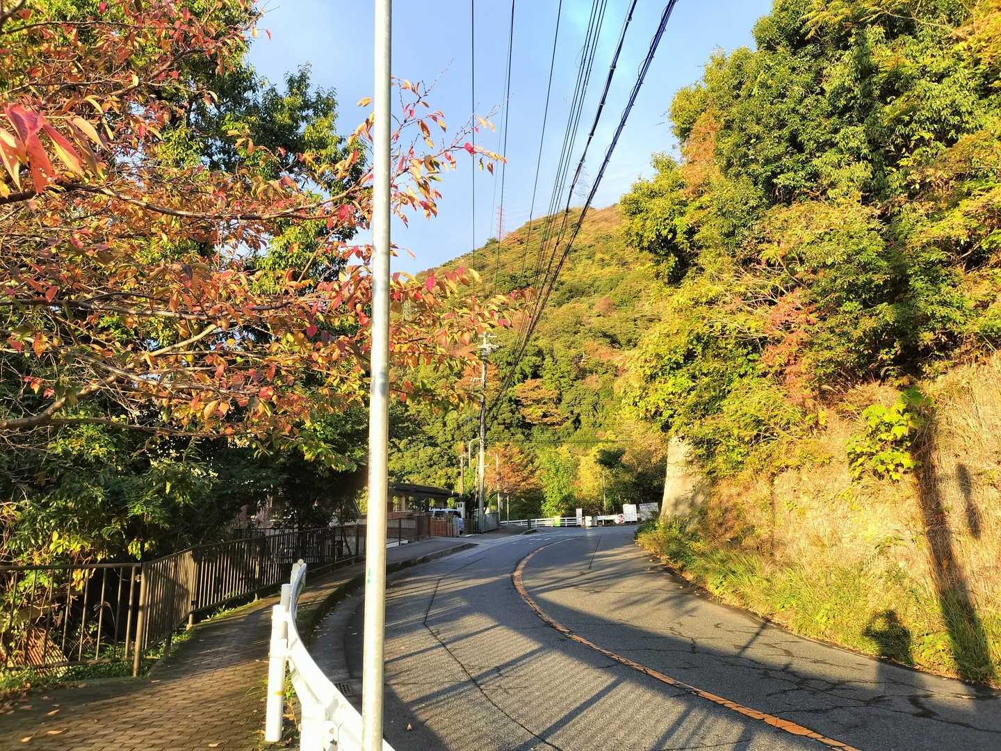 大池駅-水晶山-六甲ケーブル下バス停 縦走コースの写真