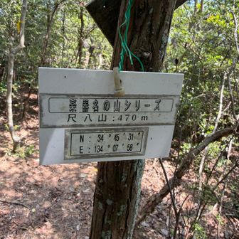 尺八山山頂