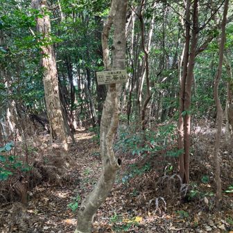 三ッ峰or三峰山 どちらが本当の名前？