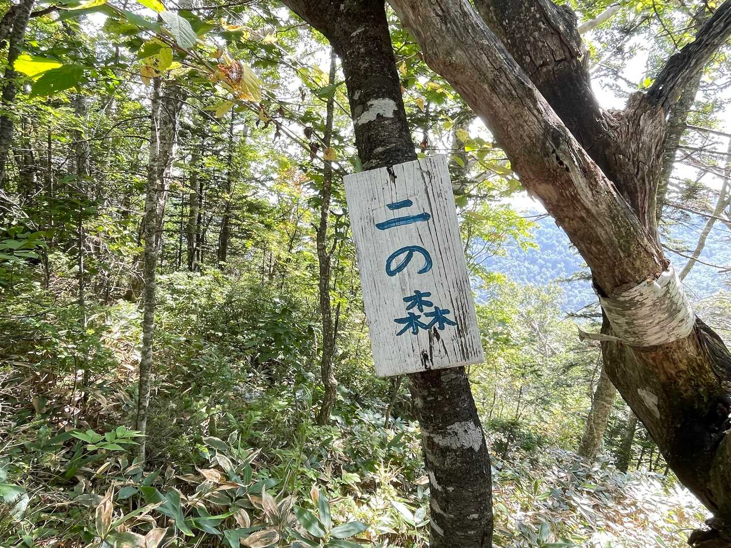 剣山登山口-一の森-剣山 往復コースの写真