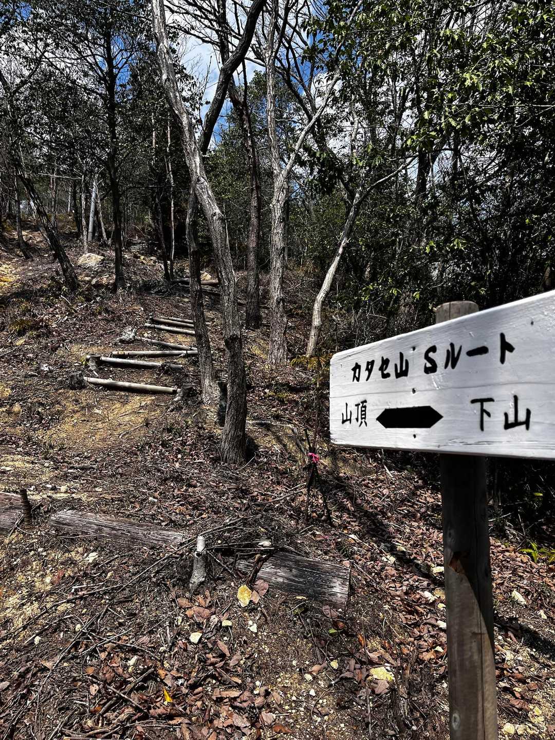 カタセ山南登山口-カタセ山 往復コースの写真