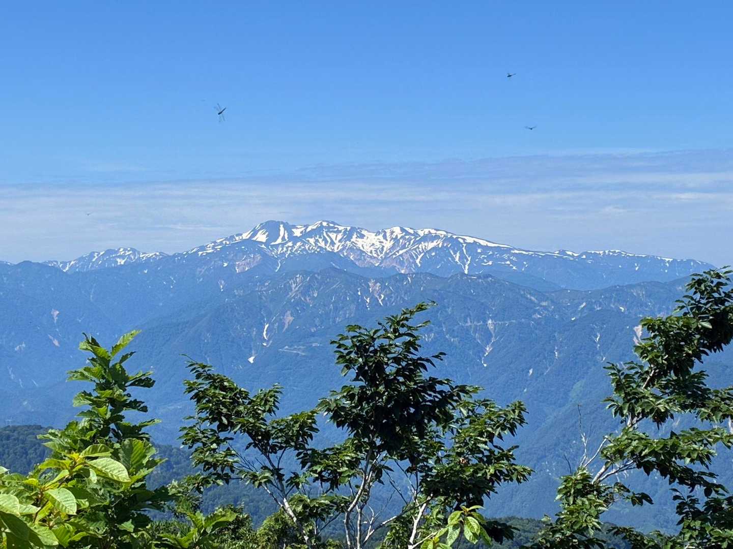 白山が美しい
まだ雪たくさんですね