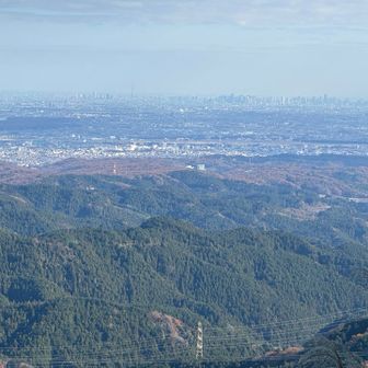 都心部　
目では見えたスカイツリーも、拡大したら写ってました。