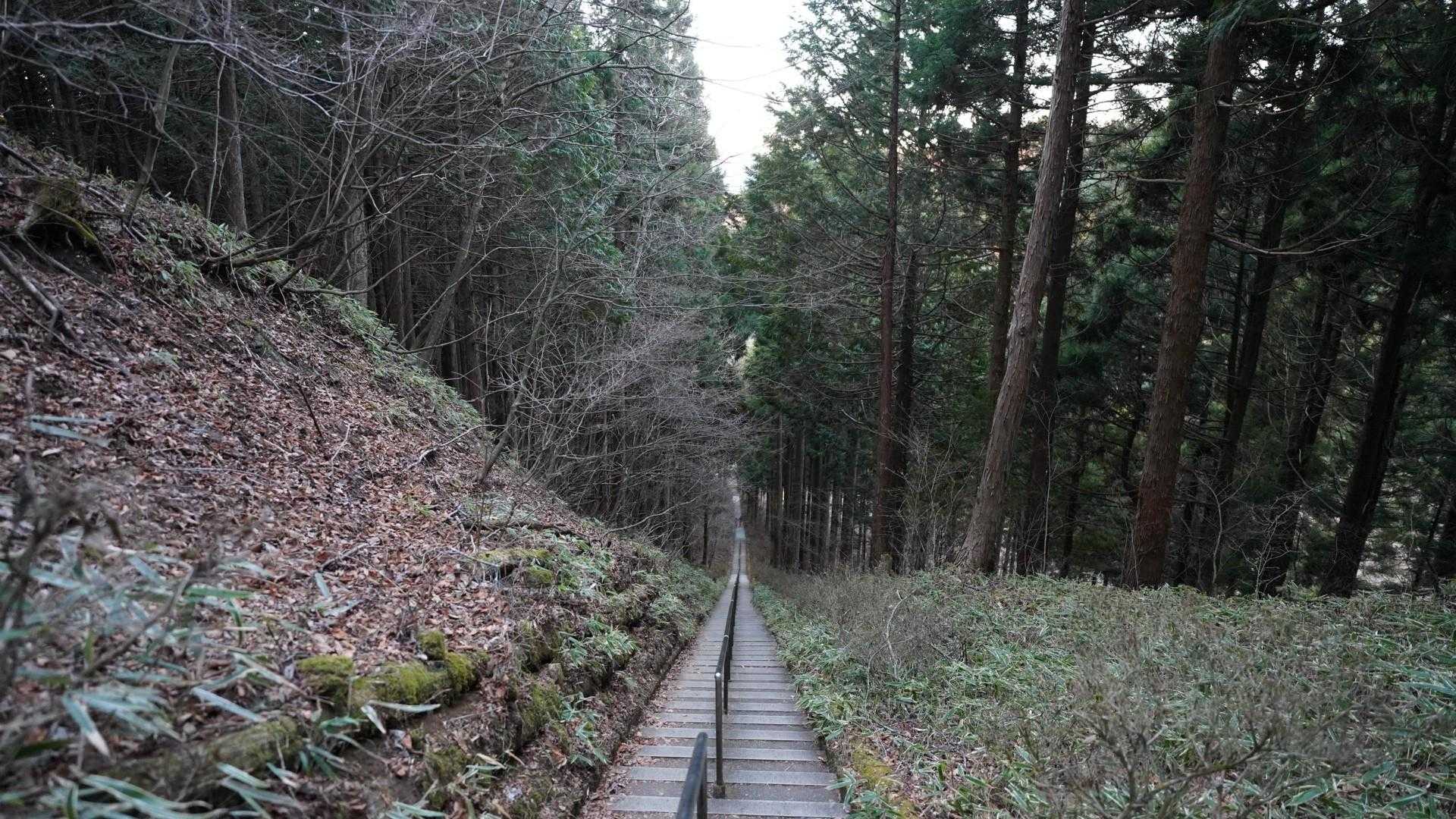 石割山 | 割れた巨岩を御神体とするパワースポットから、間近に富士山を望む稜線への写真