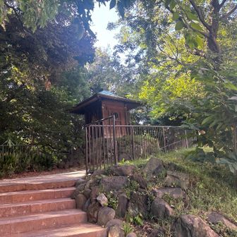 紅葉山山頂はこの辺だと思われます