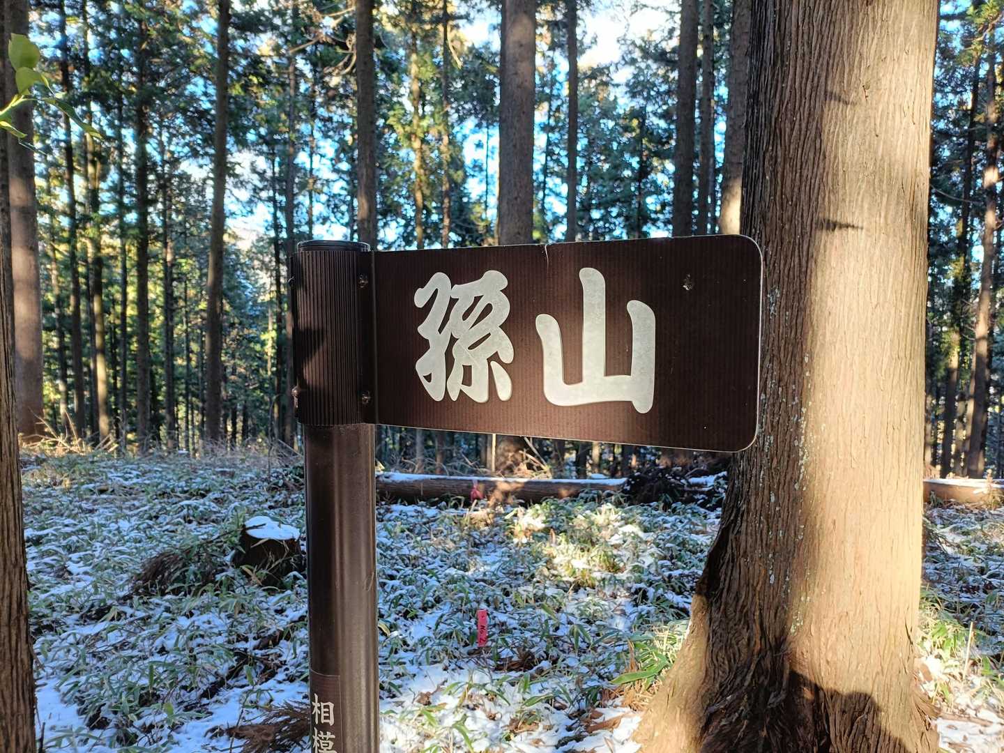 孫山