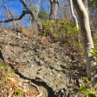本日最初のピーク、おかめ山西峰に挑む！らしくないですが、岩コース直登で行きます😄