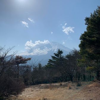 おおお〜、デカい🗻逆光じゃなければ😅