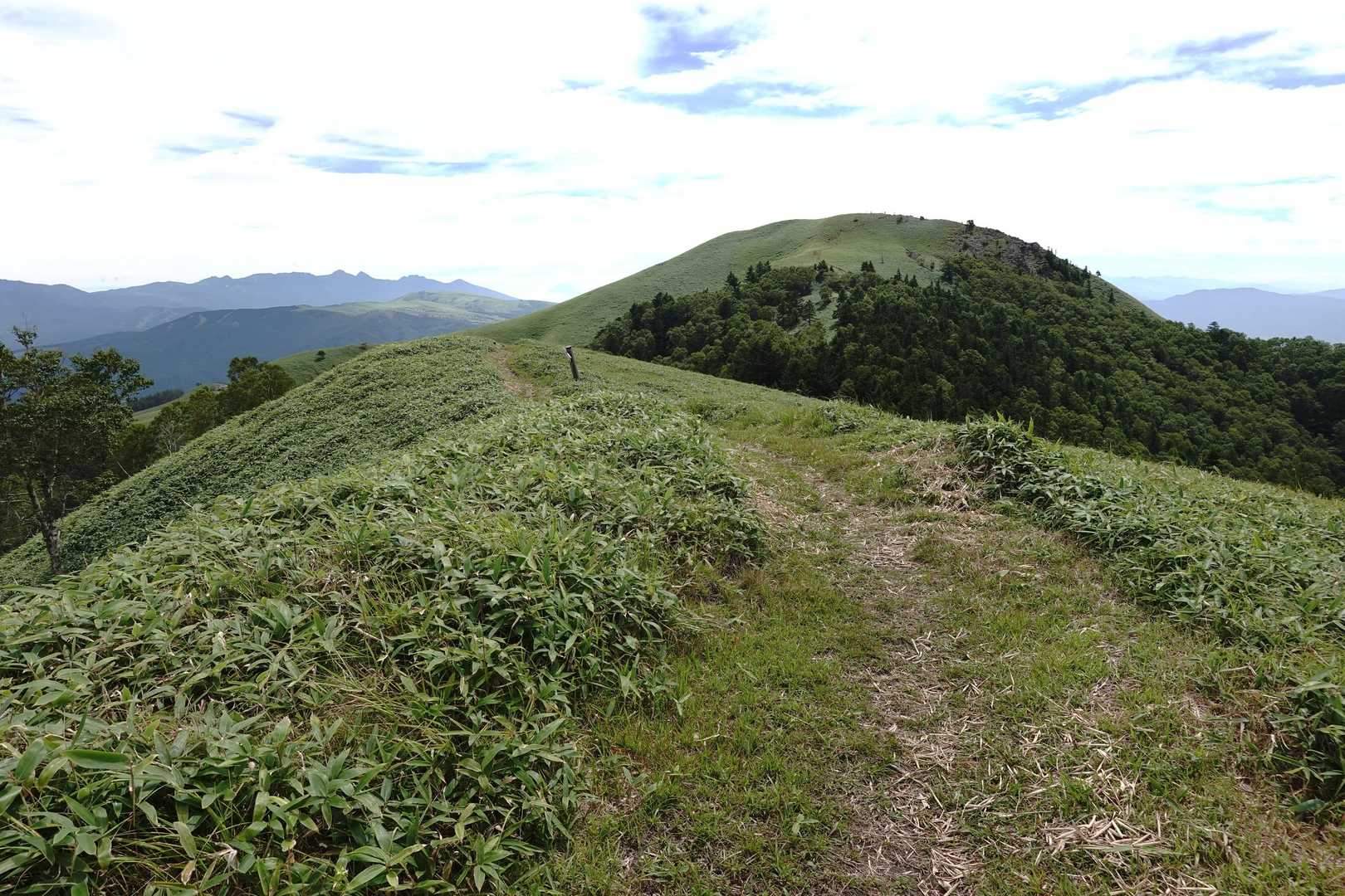 茶臼山登山口-扉峠-三峰山 往復コースの写真