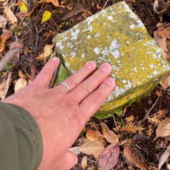 1個目タッチ🙋‍♀️