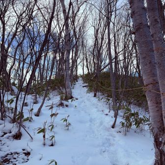 想定を上回る急登でした