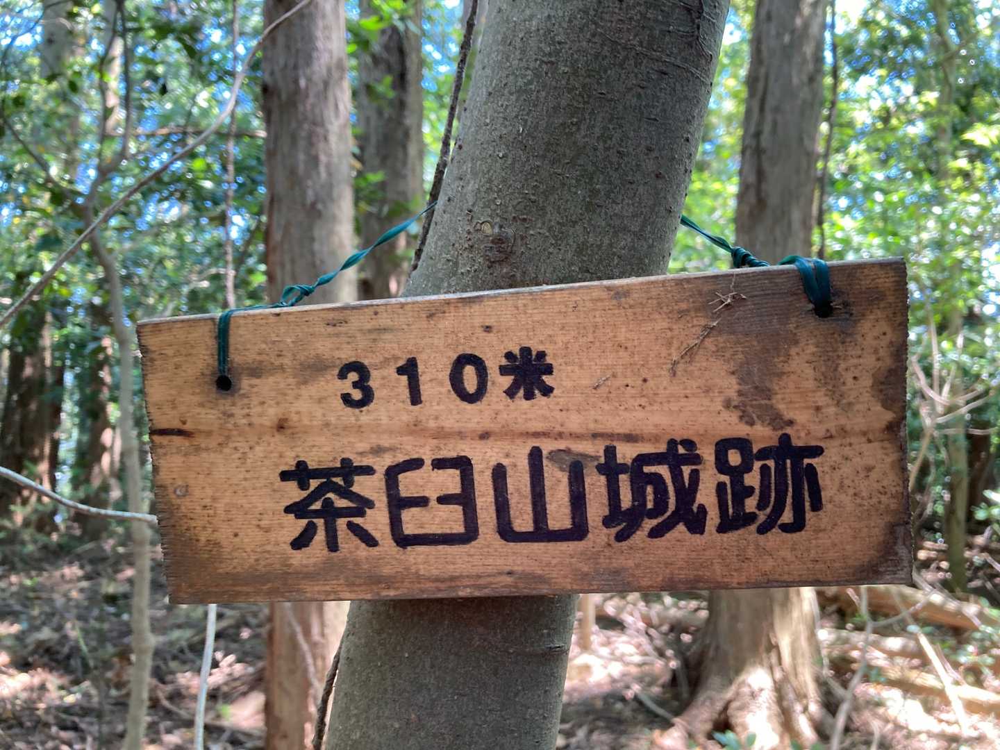 茶臼山山頂は城跡なんですね
新規ピークGET！
三角点はありません