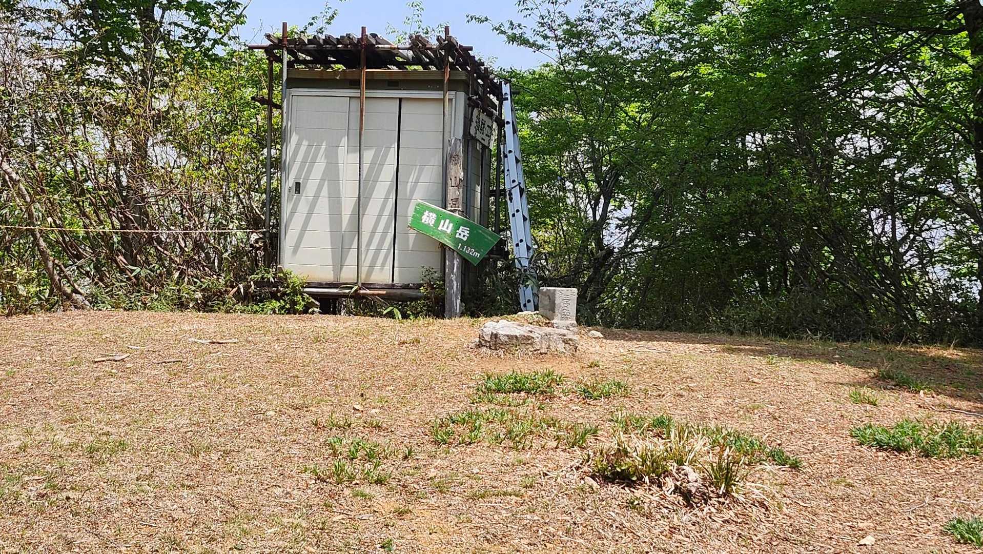 横山岳西峰  山頂
東峰までの稜線上に終盤ではありますが可愛い花々が沢山咲いてます🤩