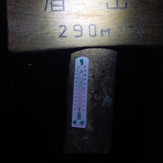 眉山（最高点）⛰️山頂👍️
眺望無し😅
獣が走り去る音が・・・🐗