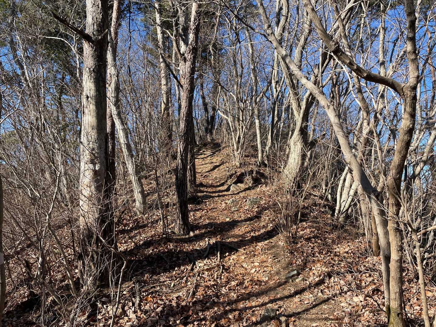 大川戸登山口-大川戸鉱泉跡-三登谷山 周回コースの写真