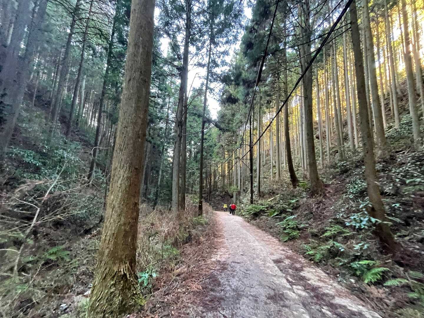 関西のステキ💕人気💕な金剛山😆🎵