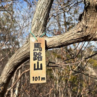 馬路山
干支の名前入り