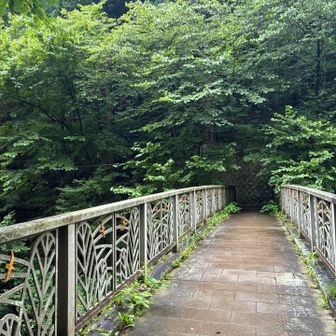 国道を渡るには歩道橋を歩く