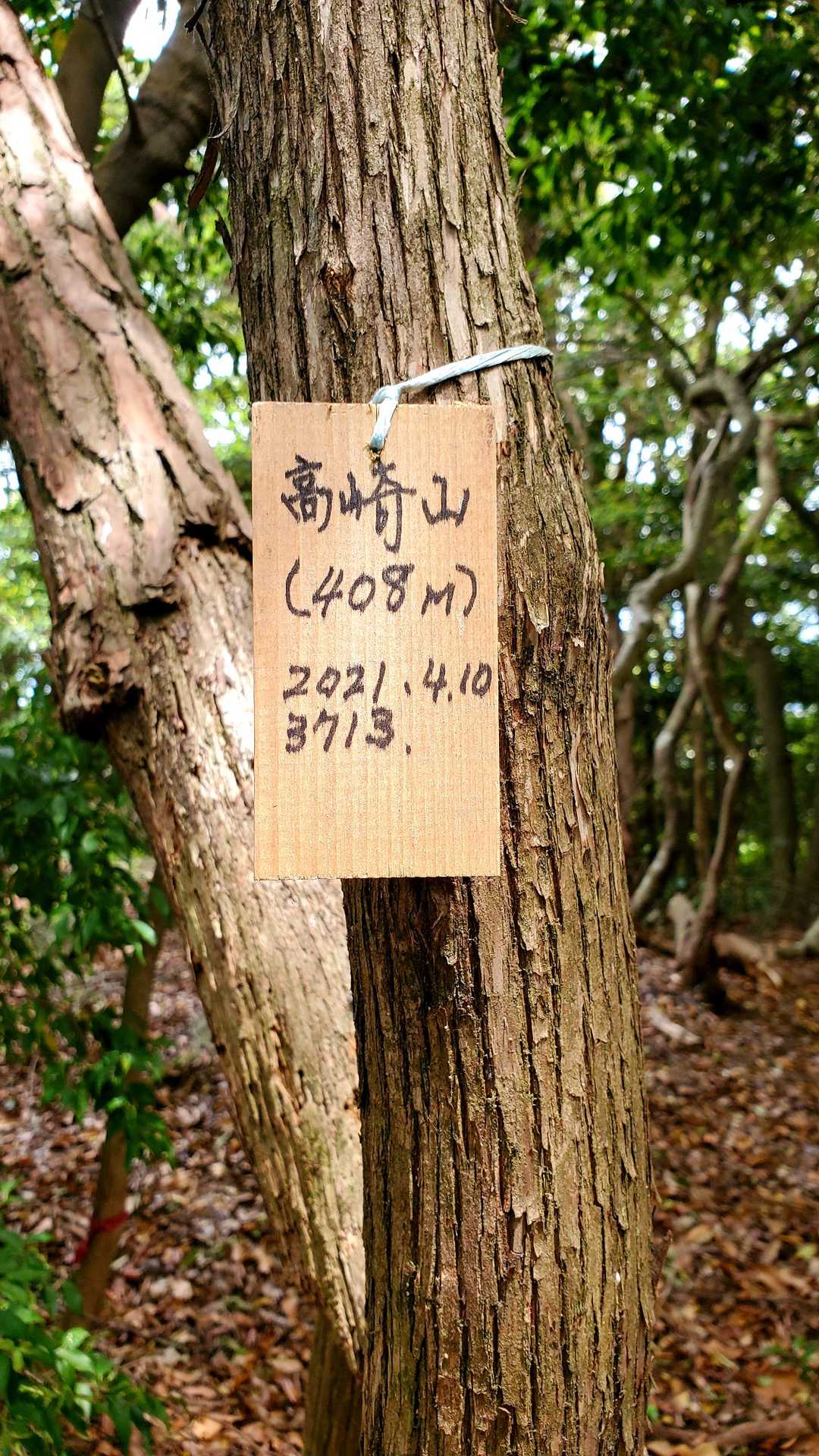 ５座目は高崎山❗