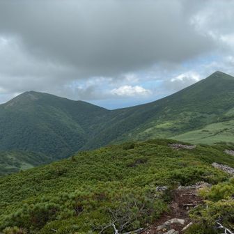 前天塩と天塩岳。コル手前と登り返しにも💩🐻