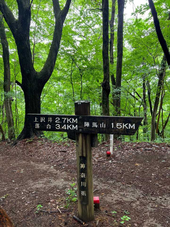 陣馬山・景信山縦走 の写真 4