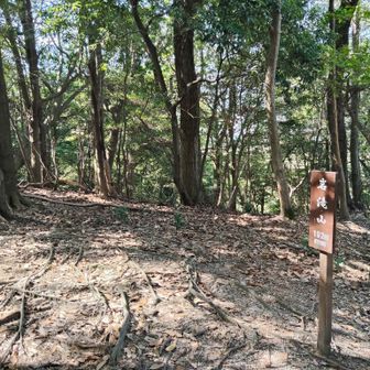 約10分で岩滝山ピークへ