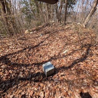 ③三角点と周りの様子
※前回ここで、モグモグタイム⏱️❢
