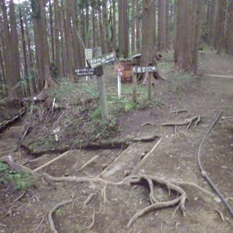 大倉高原方面分岐