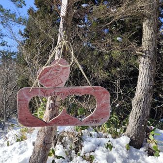 八乙女山🏔️展望