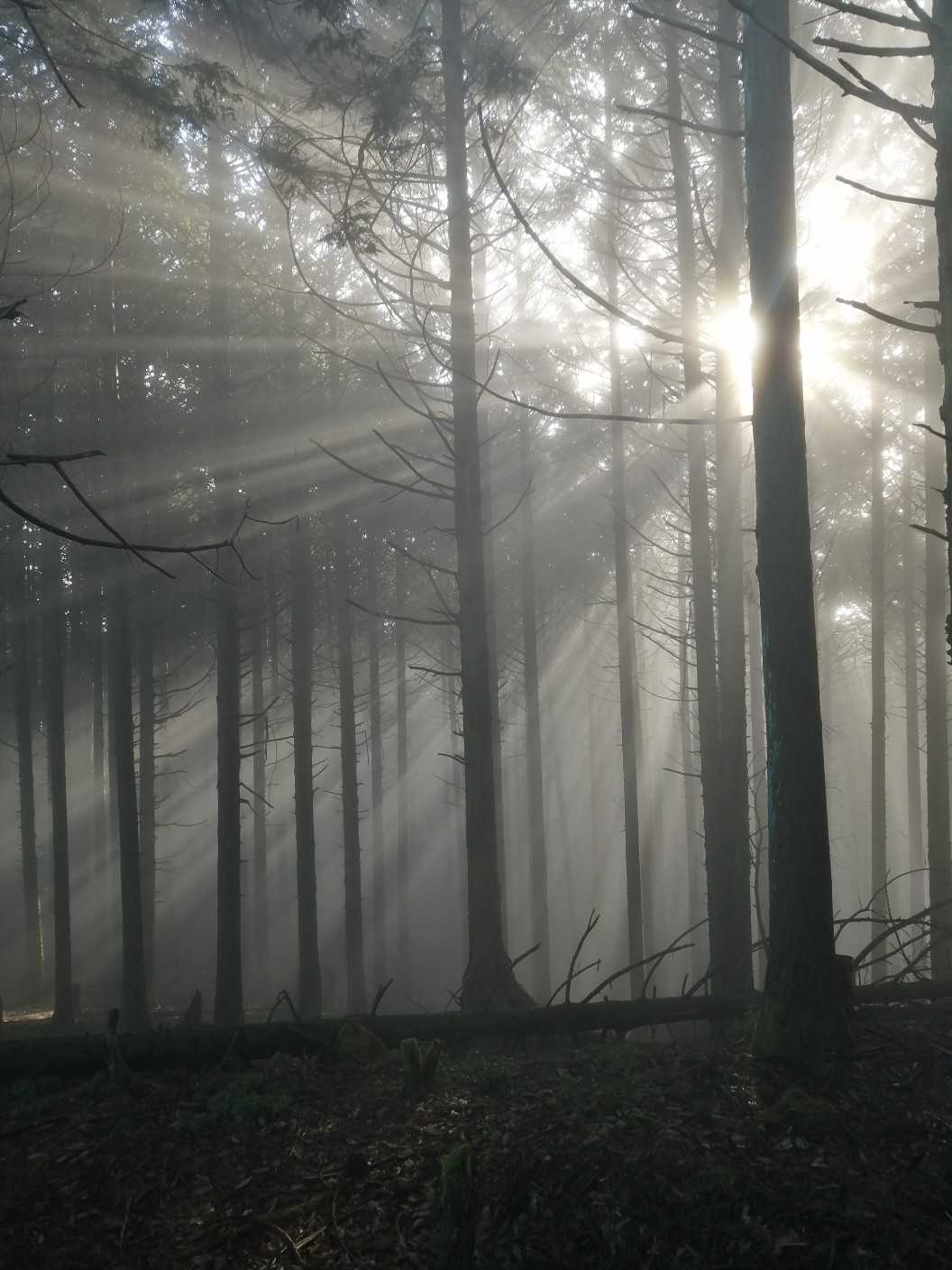 小野山の写真