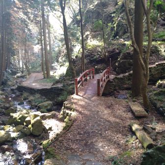 気をつけながら下りてきたら三の滝の少し下に下りてきました