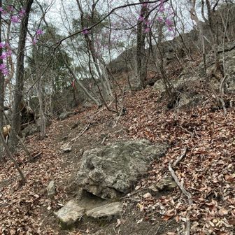 落ち葉の急斜面🍂😅
けっこう滑るので牛歩に…