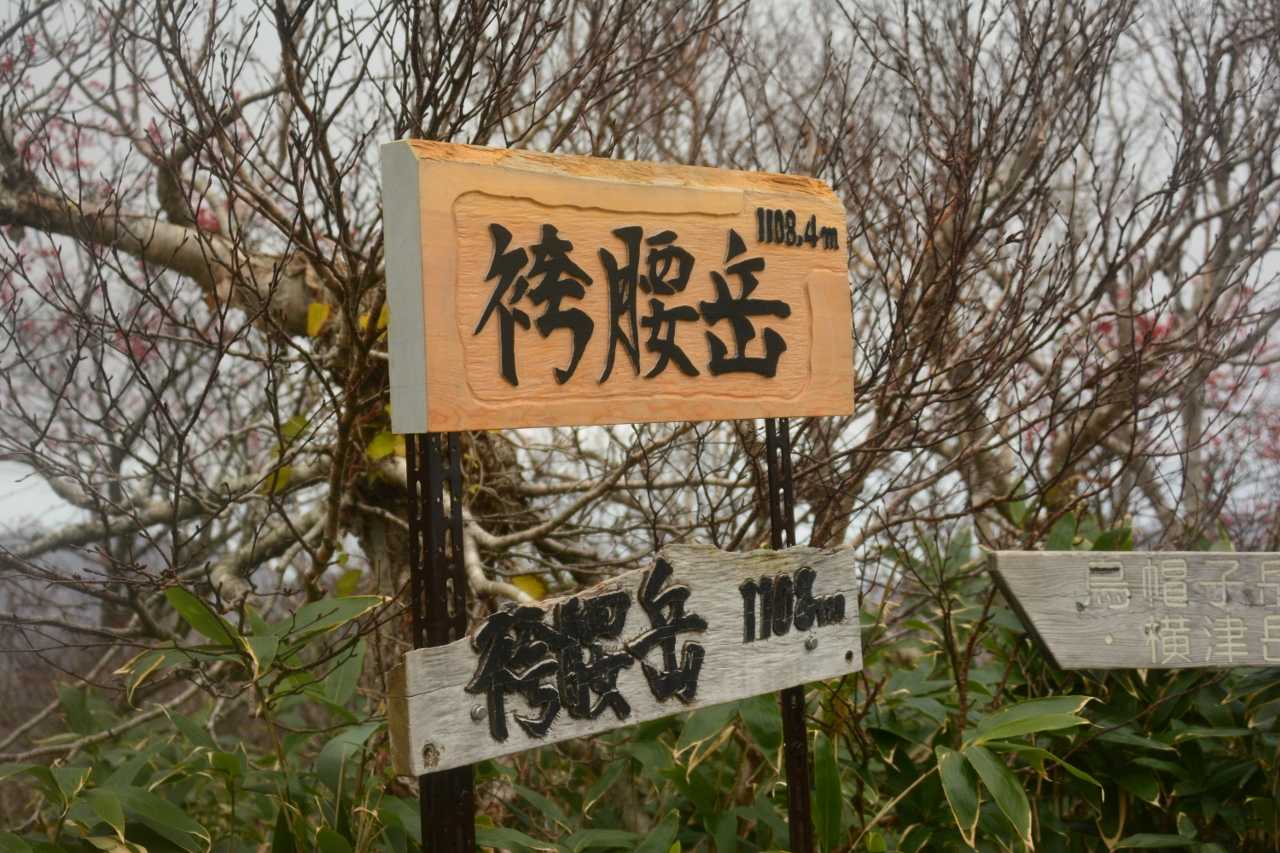 立派な看板