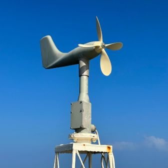 カレーが好きな人