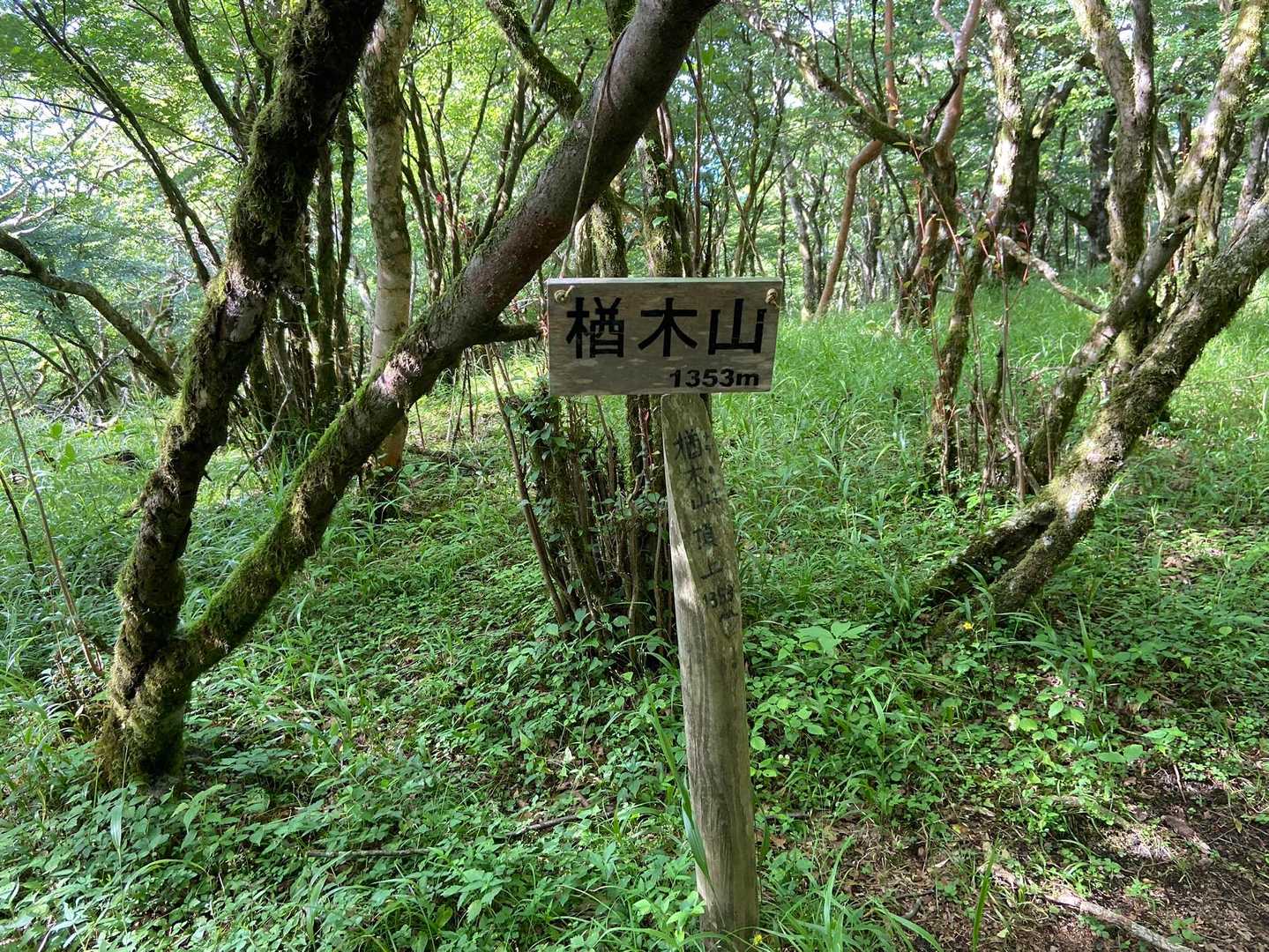 三国峠-三国山-楢木山-大洞山-畑尾山 往復コースの写真