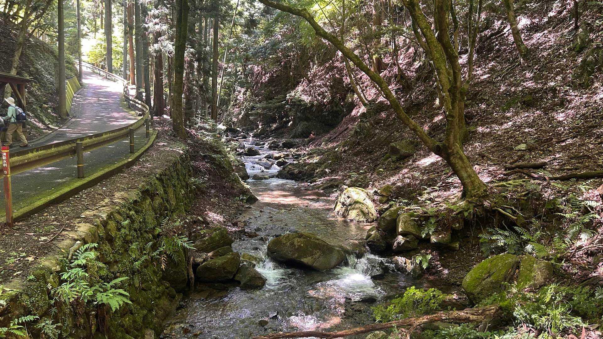 牛尾山のハイキングコースは渓流をハイクします　
鳥の囀りに沢音　　空気が違う　美味しく味わいます
