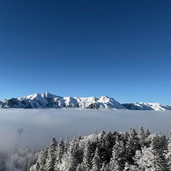 ガスのラインがくっきり