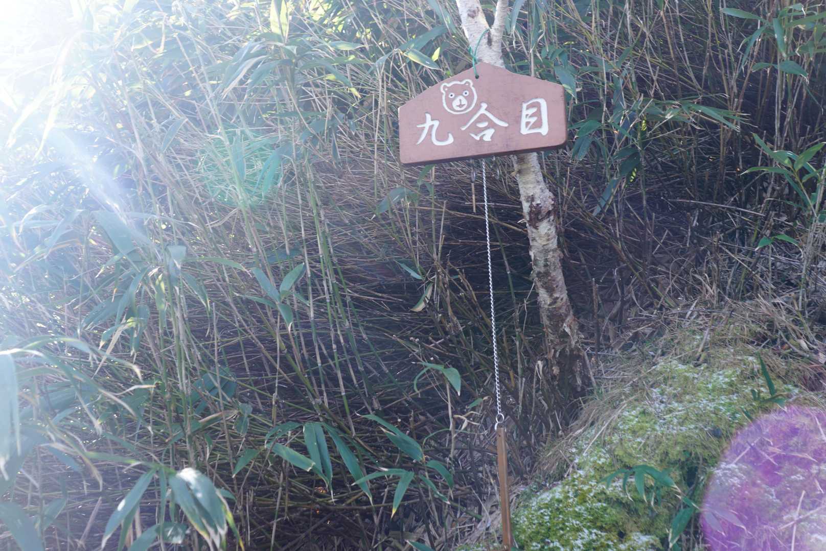 お初に見た！かわいい熊さんついてる…