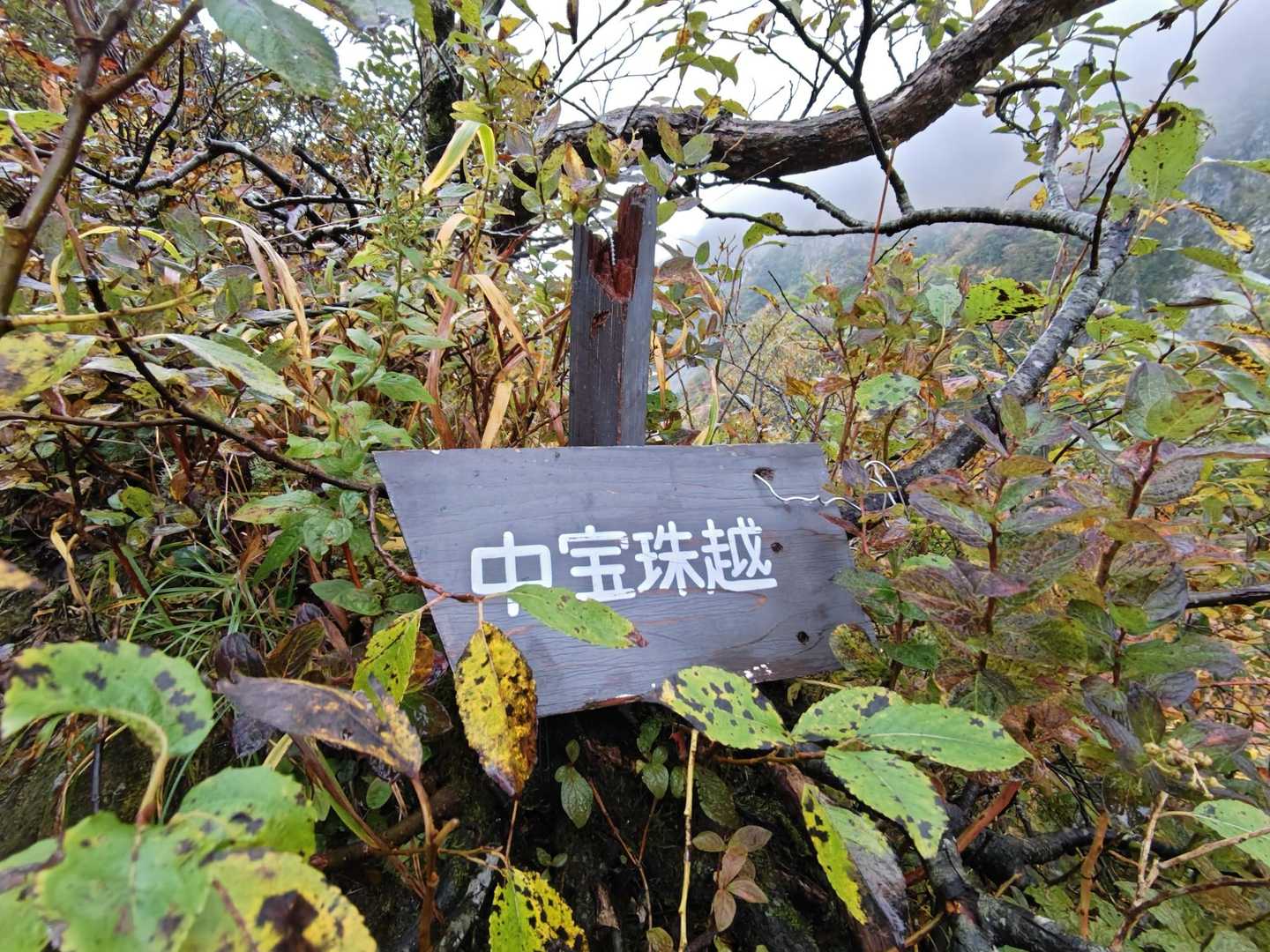 中宝珠越え