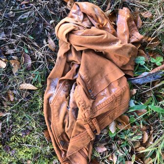 今日の謎！
山頂で忘れられてたズボンがあった😕
何があってそうなったん？持ち主はズボン履かずに帰って行ったん？🤔事件？
色々と想像が膨らむ…